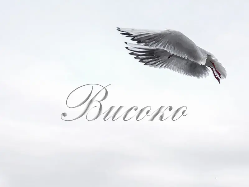 "Високо" - поезия